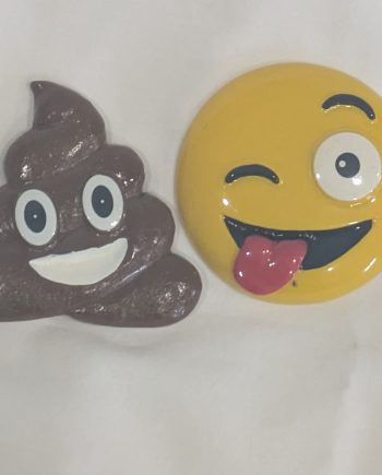 Gift: Assorted Magnets