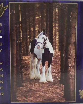 Gift: Gypsy Vanner Horse Puzzle