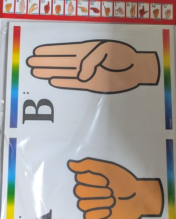 Educational: Sign Language and Braille